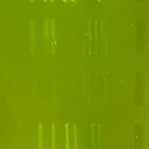 Meet your Posher, Apollo